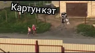 Случайная съемка сняла картун кат