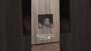 Приключения Миши #контент #рек #комедия #мудростьдня #шутки #юмор #дети