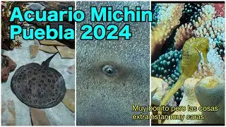 TODO LO QUE PUEDES VER EN EL ACUARIO DE PUEBLA.