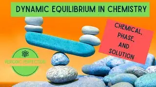 Dynamic Equilibrium in Chemistry