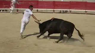 VILLENEUVE LES MAGUELONE (25/08/2024) - Le résumé de la course