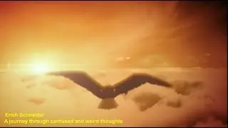 Erich Schneider - A journey through confused and weird thoughts