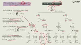 Carbohydrates : 2.Family of Aldoses and Ketoses