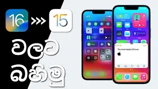 How to Downgrade iOS 16 to iOS 15 Without Losing Data | Tenorshare ReiBoot