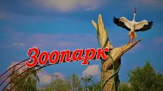 Мінск - Гарадскі заапарк