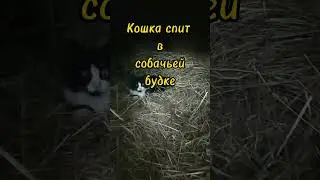 Во всём можно видеть позитив:) #затотыглавный #путаница #квартети #funny
