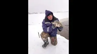 Рыбалка на Амуре на Хапугу  Осень 2021. Вся плохая рыба!!!