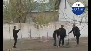 Кўзбўямачи кўчат экувчилар