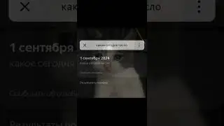 #рекомендации