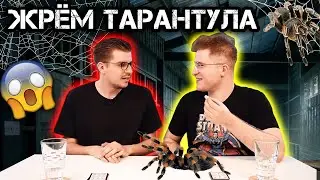 НАКОНЕЦ-ТО ЖРЁМ ТАРАНТУЛА // ДВА В ОДНОМ #2
