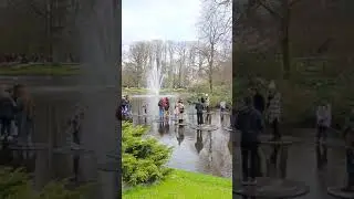 Keukenhof: The biggest tulip garden in the Netherlands.