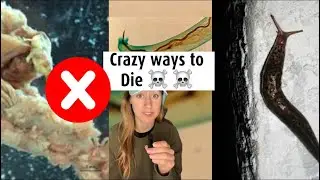 ☠️ Crazy ways to die: Part 2