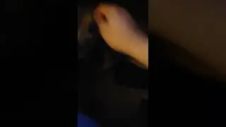 Forza Horizon 5 how to fix clutch easy