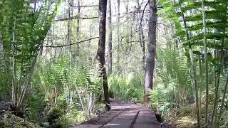 Boardwalk TimeLapse