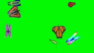 Flying butterfly green screen video | Colorful butterfly animation 4k