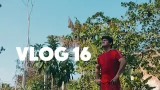 VLOG 16 DOMINGO DE MANHÃ