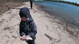 донская селедка 2019