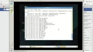 video install sap hana on vm text based