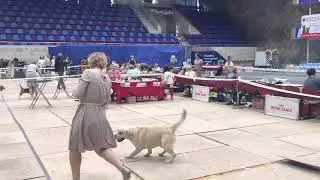 Моя любовь🥰