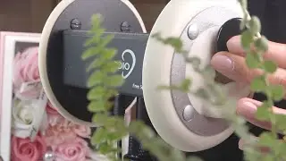 [ASMR] Aroma Oil Ear Massage with Natural bird sounds 💆‍♀️🦜  | No Talking