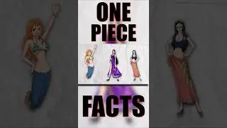 One Piece Facts 