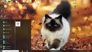 Не устанавливается Sony Vegas, не включается оверлей в GeForce Experience