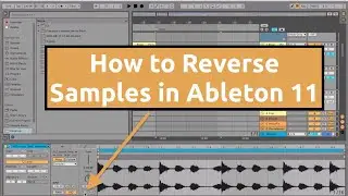 How to Reverse Samples in Ableton 11 Tutorial