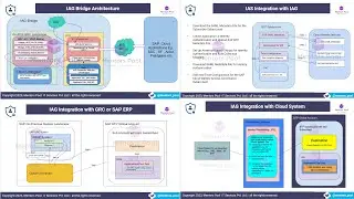 SAP IAG  | SAP IAG Bridge Architecture | SAP IAG Integrations | Mentors Pool