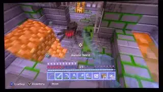 Minecraft - Wallfey Flat Challenge (13) 