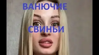 СВИНЬИ #shorts
