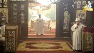 مؤهلات الراعي-القمص بطرس جيد-عظة القداس الالهي-كنيسة العذراء مريم بالزيتون 22-11-2024