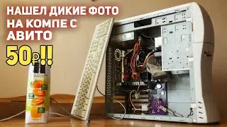 PC with AVITO - FOUND WILD PHOTOS!!