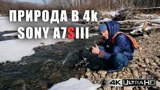 Съемка природы - Sony A7SIII | Три объектива - Sigma, Sony, Tamron