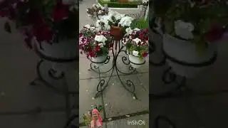 Ямьле язгы кон бн дусларым!