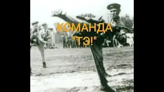 КОМАНДА 