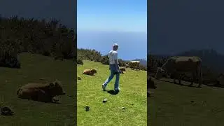 Madeira travel