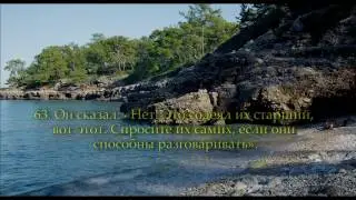 Саид Дубаха. Сура 