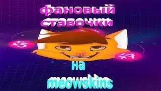 Фановые ставки на meowskins
