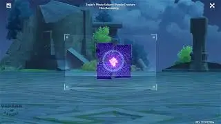 10 Purple Creature Locations Genshin Impact