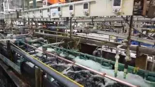 Motorcycle Chrome Plating