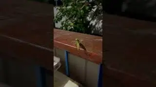 Иногда мы думаем, что это именно мы управляем ситуацией, но… в реальности оказывается чуть иначе🙈🤣