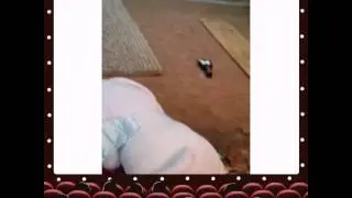 Babybandit gets a kitty