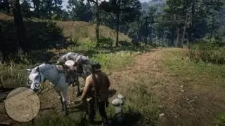 Red Dead Redemption 2 Arthur and Charlotte, Part 1