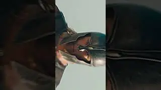Achilles🔥(Edit)