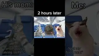 When parents have no choice but to place me at the other row 💀 #catmemes #memes #funnymemes #funny