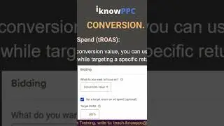 tROAS Bidding Google Ads 