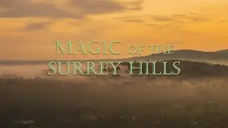Magic of the Surrey Hills