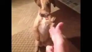 Актёр, у которого ещё нет ''Оскара''