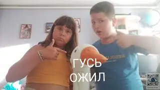 ГУСЬ ОБНИМУСЬ ОЖИЛ !