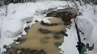 Зимой на летнюю удочку
